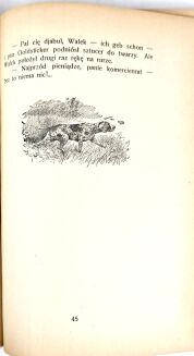 JANTA-POŁCZYŃSKI- RAMOTY MYŚLIWSKIE - 8