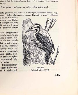 SOKOŁOWSKI - PTAKI ZIEM POLSKICH T.1 1936 - 9