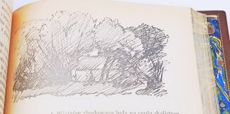 MONTGOMERY - ANIA Z ZIELONEGO WZGORZA / ANNE OF GREEN GABLES 1-6 leather set - 12