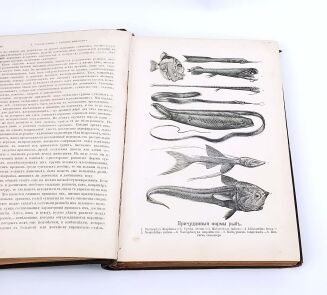 HENRYK SIENKIEWICZ - AUTOGRAF. KSIĄŻKA Z KSIĘGOZBIORU PISARZA - 6