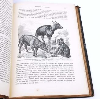 HENRYK SIENKIEWICZ - AUTOGRAF. KSIĄŻKA Z KSIĘGOZBIORU PISARZA - 7