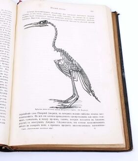 HENRYK SIENKIEWICZ - AUTOGRAF. KSIĄŻKA Z KSIĘGOZBIORU PISARZA - 8