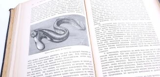 HENRYK SIENKIEWICZ - AUTOGRAF. KSIĄŻKA Z KSIĘGOZBIORU PISARZA - 10