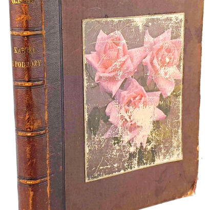 KRASZEWSKI- KARTKI Z PODRÓŻY 1858-1864 ROKU Ks. II
