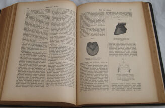 ENCYKLOPEDYA ROLNICZA wyd. 1890r. 11 wol. [komplet] - 17