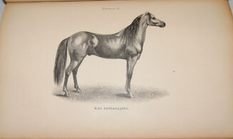 ENCYKLOPEDYA ROLNICZA wyd. 1890r. 11 wol. [komplet] - 8