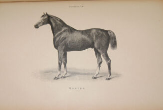 ENCYKLOPEDYA ROLNICZA wyd. 1890r. 11 wol. [komplet] - 7