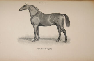 ENCYKLOPEDYA ROLNICZA wyd. 1890r. 11 wol. [komplet] - 6