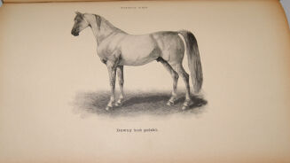 ENCYKLOPEDYA ROLNICZA wyd. 1890r. 11 wol. [komplet] - 5