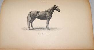 ENCYKLOPEDYA ROLNICZA wyd. 1890r. 11 wol. [komplet] - 24