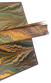 ZAWADZKA - GOSPODYNI LITEWSKA wyd. 1882 - 6