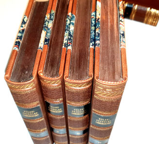 POLSKI PRZEGLĄD CHIRURGICZNY t.1-18 [18 wol.] wyd. 1922-39 - 5