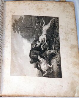 PATHIE - GALERYA DREZDEŃSKA zbiór rycin na stali z najcelniejszych obrazów tej Galeryi T.I-II staloryty 1850r.  - 8