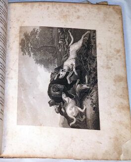 PATHIE - GALERYA DREZDEŃSKA zbiór rycin na stali z najcelniejszych obrazów tej Galeryi T.I-II staloryty 1850r.  - 9