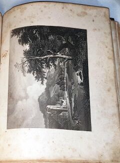 PATHIE - GALERYA DREZDEŃSKA zbiór rycin na stali z najcelniejszych obrazów tej Galeryi T.I-II staloryty 1850r.  - 5