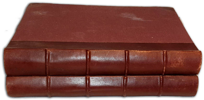 CHEŁMOŃSKA- ALBUM BIOGRAFICZNE ZASŁUŻONYCH POLAKÓW I POLEK WIEKU XIX. T. 1-2 [komplet w 2 wol.]