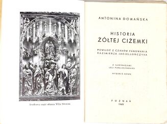 DOMAŃSKA- HISTORIA ŻÓŁTEJ CIŻEMKI wyd. 1945r. ilustr. Leli Pawlikowskiej - 3