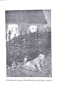 DOMAŃSKA- HISTORIA ŻÓŁTEJ CIŻEMKI wyd. 1945r. ilustr. Leli Pawlikowskiej - 4
