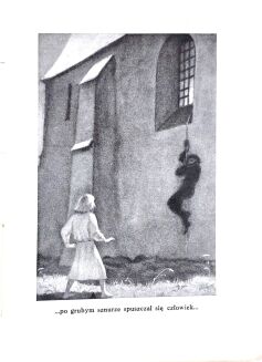 DOMAŃSKA- HISTORIA ŻÓŁTEJ CIŻEMKI wyd. 1945r. ilustr. Leli Pawlikowskiej - 5