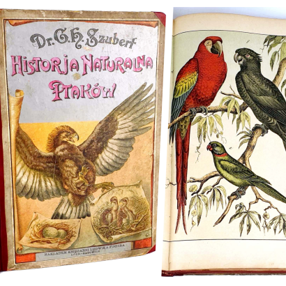 SCHUBERT- HISTORJA NATURALNA PTAKÓW wyd. 1900 tablice