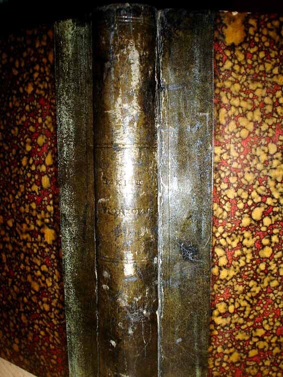 DAROWSKI- SZKICE HISTORYCZNE wyd. 1895r. PÓŁSKÓREK