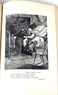MICKIEWICZ- PAN TADEUSZ z illustracjami E. M. Andriollego - 8