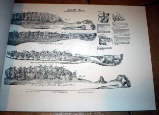 CZAPSKI - HISTORYA POWSZECHNA KONIA Tom I-III oraz ATLAS reprint - 6