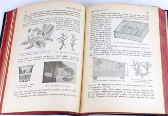 OCHOROWICZ- MONATOWA- GOSPODARSTWO KOBIECE wyd. 1913 oprawa wydawnicza - 7