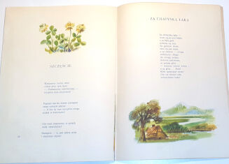 GILLOWA- MACIUSIOWA WIOSKA wyd. I, ilustrował J. M. Szancer - 4