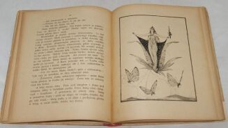 NIEWIADOMSKA - SŁONECZNY ŚWIATEK ilustr. 1923r. - 6