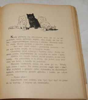 NIEWIADOMSKA - SŁONECZNY ŚWIATEK ilustr. 1923r. - 8
