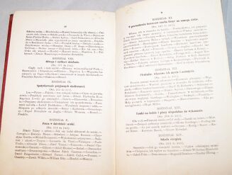 SMILES- POMOC WŁASNA wyd. 1869 oprawa sygnowana MORAWSKI - 7