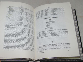 BONIECKI - POCZET RODÓW W WIELKIEM KSIĘSTWIE LITEWSKIM w XV i XVIw. reprint - 6