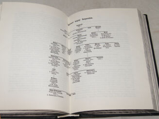 BONIECKI - POCZET RODÓW W WIELKIEM KSIĘSTWIE LITEWSKIM w XV i XVIw. reprint - 7