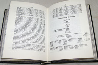 BONIECKI - POCZET RODÓW W WIELKIEM KSIĘSTWIE LITEWSKIM w XV i XVIw. reprint - 5