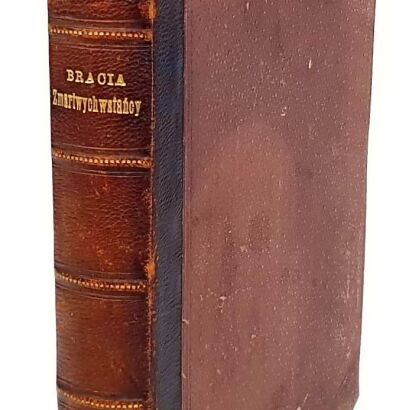 KRASZEWSKI - BRACIA ZMARTWYCHWSTAŃCY t.1-3 [komplet w 1 wol.]