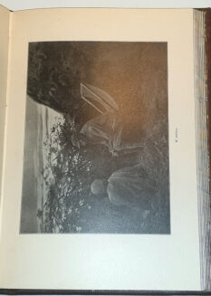 SZTOLCMAN- NAD NILEM NIEBIESKIM. Wyprawa myśliwska Józefa hr. Potockiego do Sudanu. Z Ilustr. J.Rapackiego - 4