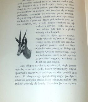 SZTOLCMAN- NAD NILEM NIEBIESKIM. Wyprawa myśliwska Józefa hr. Potockiego do Sudanu. Z Ilustr. J.Rapackiego - 5