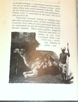 SZTOLCMAN- NAD NILEM NIEBIESKIM. Wyprawa myśliwska Józefa hr. Potockiego do Sudanu. Z Ilustr. J.Rapackiego - 8