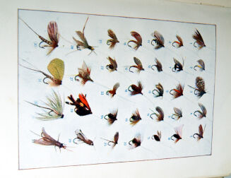 CHOYNOWSKI- WĘDKARSTWO NA WODACH POLSKICH wyd. 1939 - 7