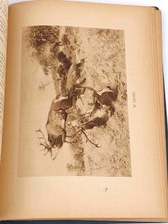 NIEDBAŁ- Z ŁOWISK WIELKOPOLSKICH wyd. 1923 - 4