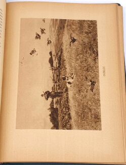 NIEDBAŁ- Z ŁOWISK WIELKOPOLSKICH wyd. 1923 - 5