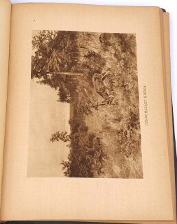 NIEDBAŁ- Z ŁOWISK WIELKOPOLSKICH wyd. 1923 - 7