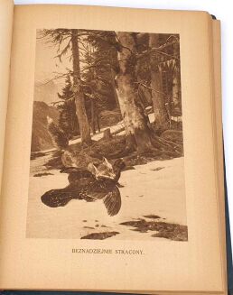 NIEDBAŁ- Z ŁOWISK WIELKOPOLSKICH wyd. 1923 - 8