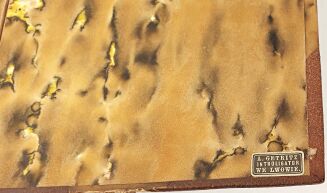 WITKIEWICZ- MATEJKO wyd.1, oprawa Getritz, Lwów - 15