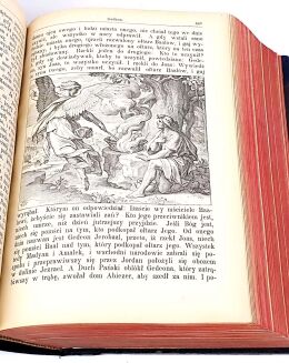 STAGRACZYŃSKI - HISTORYA BIBLIJNA Tom I-II [komplet] wyd. 1894r. OPRAWA - 9