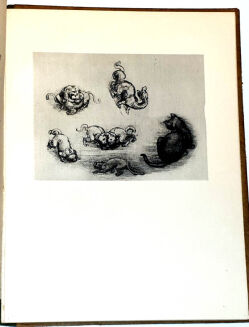 DA VINCI - BAJKI ilustracje - 3