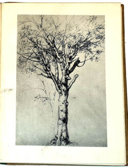 DA VINCI - BAJKI ilustracje - 5