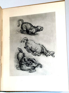 DA VINCI - BAJKI ilustracje - 6