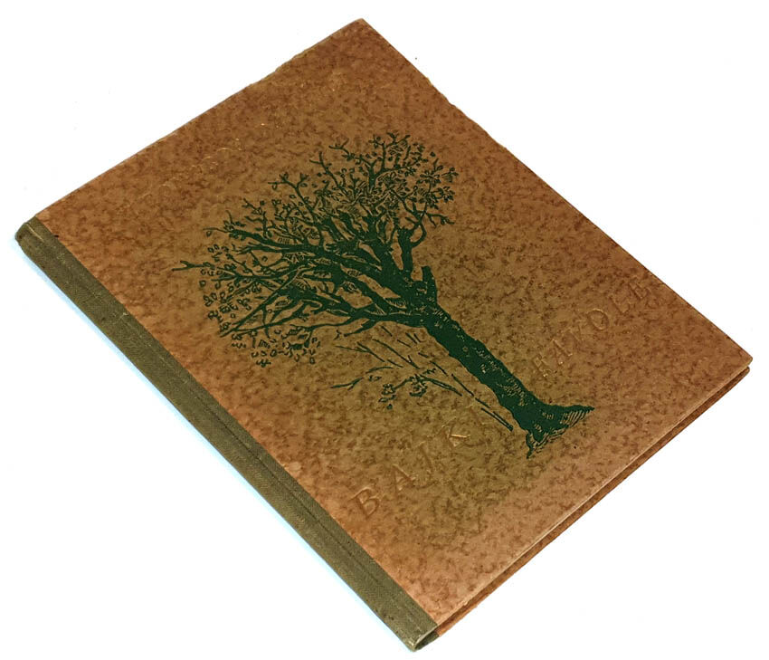 DA VINCI - BAJKI ilustracje